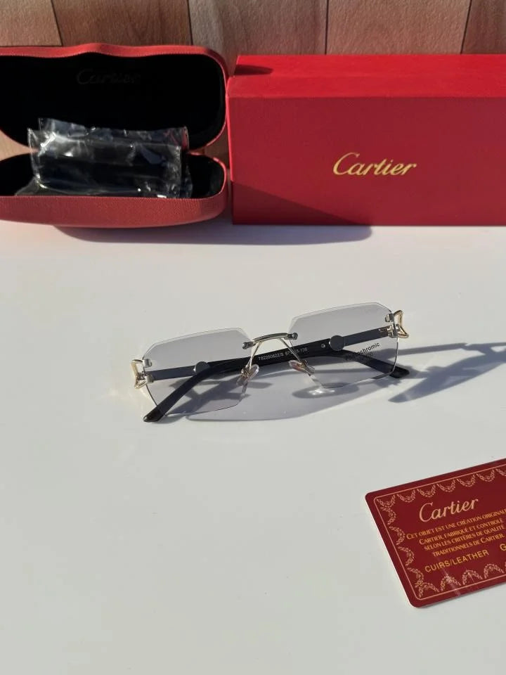 Sunglass